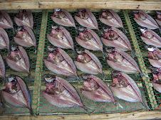 �J���̃y�[�W�w